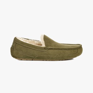 Ugg Ascot Men Slippers Green (3708NKJVY)